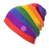 Ski And Snowboard Hat