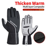 Ski And Snowboard Glove