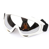 Ski And Snowboard Glasses