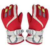 Ski And Snowboard Glove